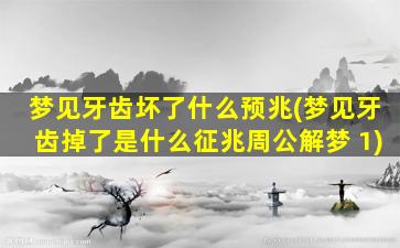 梦见牙齿坏了什么预兆(梦见牙齿掉了是什么征兆周公解梦 1)